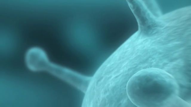 VNCI - Chemistry is everywhere